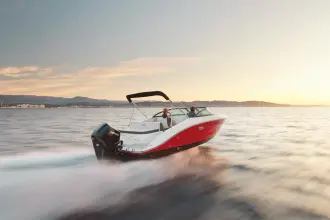 Sea Ray SPX 210 Outboard