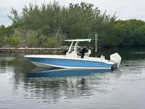 Boston Whaler 250 Dauntless