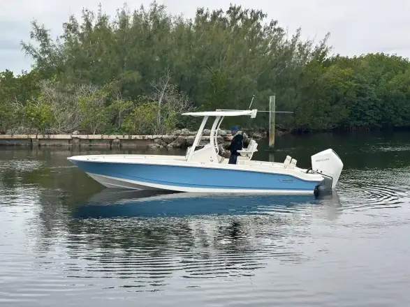 Boston Whaler 250 Dauntless