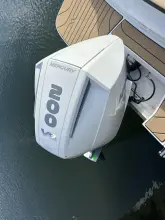 Thumbnail von Sea Ray SPX 210 Outboard