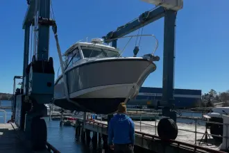Thumbnail von Boston Whaler 315 Conquest FORTUNATE SON