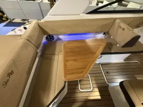 Thumbnail von Sea Ray SDX 250 Outboard