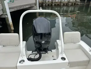 Thumbnail von Boston Whaler 190 Montauk