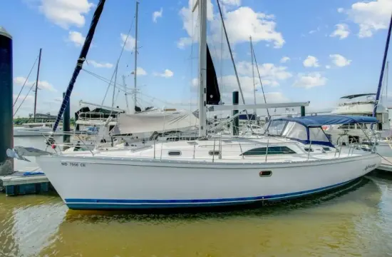 Catalina 445 Advocate