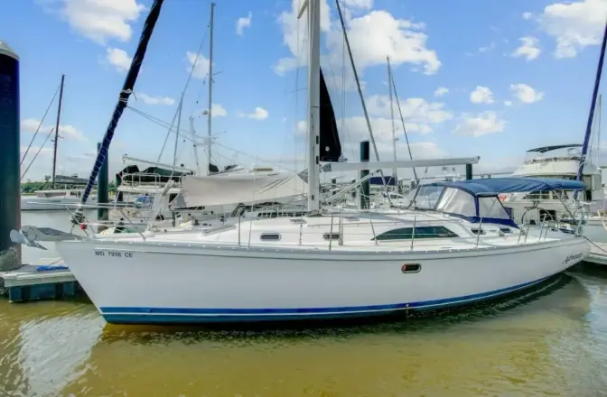 Catalina 445 Advocate