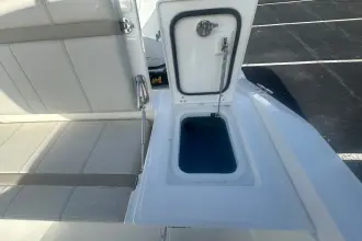 Thumbnail von Boston Whaler 280 Dauntless