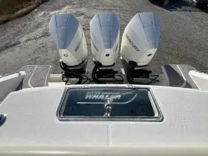 Thumbnail von Boston Whaler 380 Outrage
