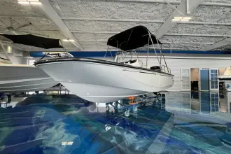 Thumbnail von Boston Whaler 170 Montauk