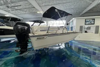 Thumbnail von Boston Whaler 170 Montauk