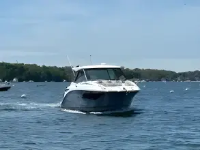 Thumbnail von Sea Ray 320 Sundancer Outboard