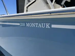 Thumbnail von Boston Whaler 210 Montauk