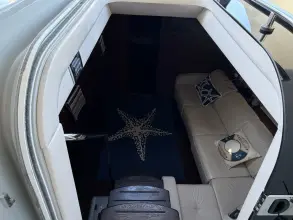 Thumbnail von Sea Ray 470 Sundancer