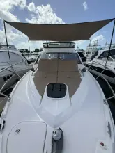 Thumbnail von Sea Ray Fly 400