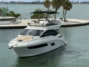 Thumbnail von Sea Ray Fly 400