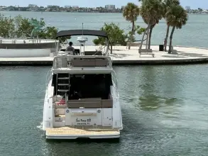 Thumbnail von Sea Ray Fly 400