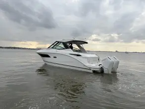 Thumbnail von Sea Ray 320 Sundancer Outboard