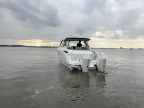 Thumbnail von Sea Ray 320 Sundancer Outboard