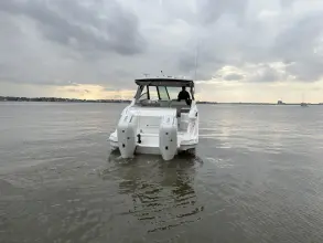 Thumbnail von Sea Ray 320 Sundancer Outboard