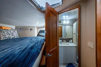 Thumbnail von Silverton 442 Cockpit Motor Yacht FAINTASEA