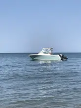 Thumbnail von Sailfish 245 DC