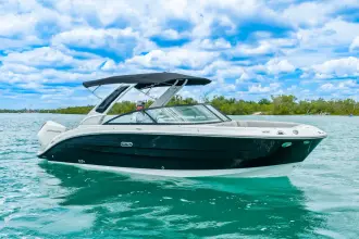 Sea Ray SDX 250 Outboard