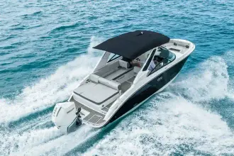 Thumbnail von Sea Ray SDX 250 Außenborder