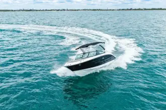 Thumbnail von Sea Ray SDX 250 Außenborder