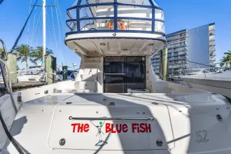 Thumbnail von Sea Ray 52 Sedan Bridge The Blue Fish