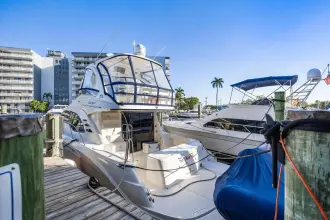 Thumbnail von Sea Ray 52 Sedan Bridge The Blue Fish