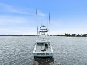 Thumbnail von Viking 45 Open URGENT SEA