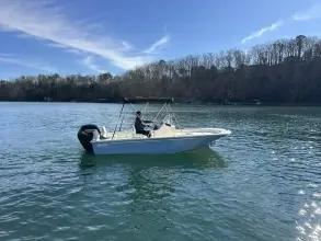 Thumbnail von Boston Whaler 170 Montauk