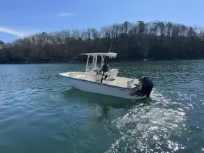 Thumbnail von Boston Whaler 210 Montauk
