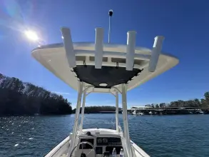 Thumbnail von Boston Whaler 210 Montauk