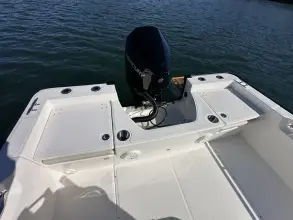 Thumbnail von Boston Whaler 210 Montauk