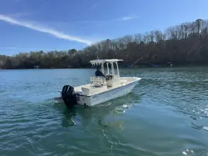 Thumbnail von Boston Whaler 210 Montauk