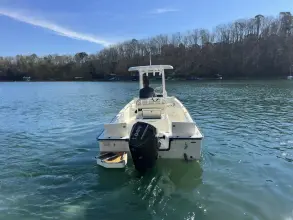 Thumbnail von Boston Whaler 210 Montauk