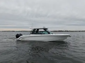 Boston Whaler 330 Vantage