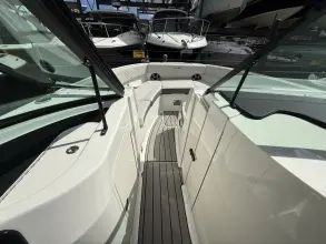 Thumbnail von Sea Ray SDX 250 Outboard