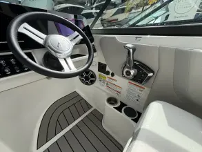 Thumbnail von Sea Ray SDX 250 Outboard