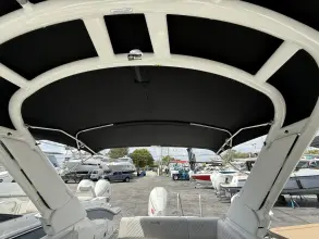 Thumbnail von Sea Ray SDX 250 Outboard