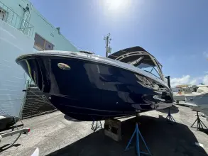 Thumbnail von Sea Ray SDX 250 Outboard