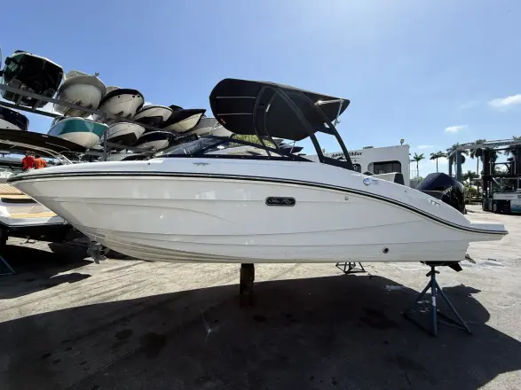 Sea Ray SPX 210 Dıştan Takma
