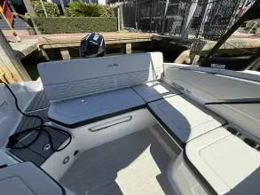 Thumbnail von Sea Ray SPX 210 Dıştan Takma