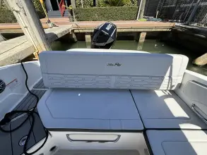 Thumbnail von Sea Ray SPX 210 Dıştan Takma