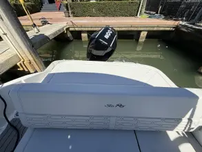 Thumbnail von Sea Ray SPX 210 Dıştan Takma
