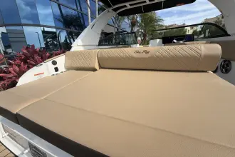 Thumbnail von Sea Ray SDX 230 Dıştan Takma Motor