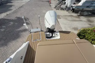 Thumbnail von Sea Ray SDX 230 Dıştan Takma Motor
