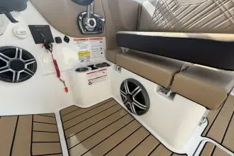 Thumbnail von Sea Ray SDX 230 Dıştan Takma Motor