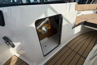 Thumbnail von Sea Ray SDX 230 Dıştan Takma Motor