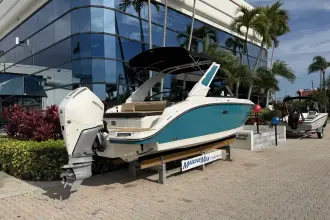 Thumbnail von Sea Ray SDX 230 Dıştan Takma Motor